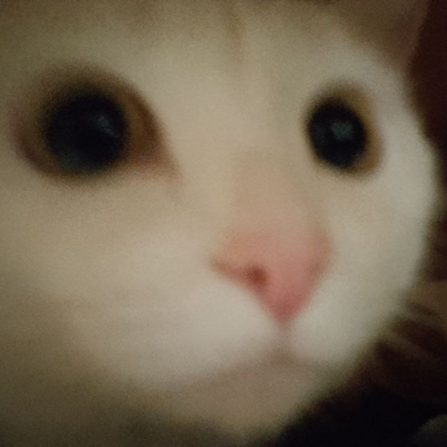 profile pic of Zeplyx